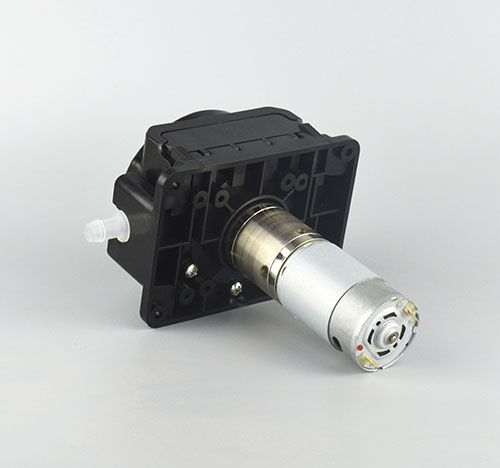 K335蜜桃手机视频